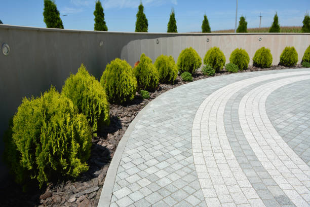 Best Driveway Pavers Contractor  in Clinton, NC